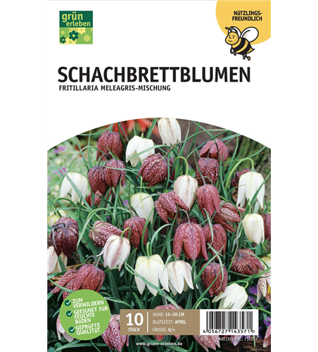 Schachbrettblumen