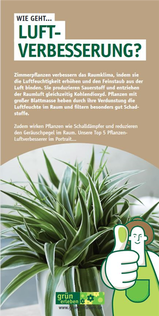 WIE GEHT... LUFTVERBESSERUNG? - grn erleben
