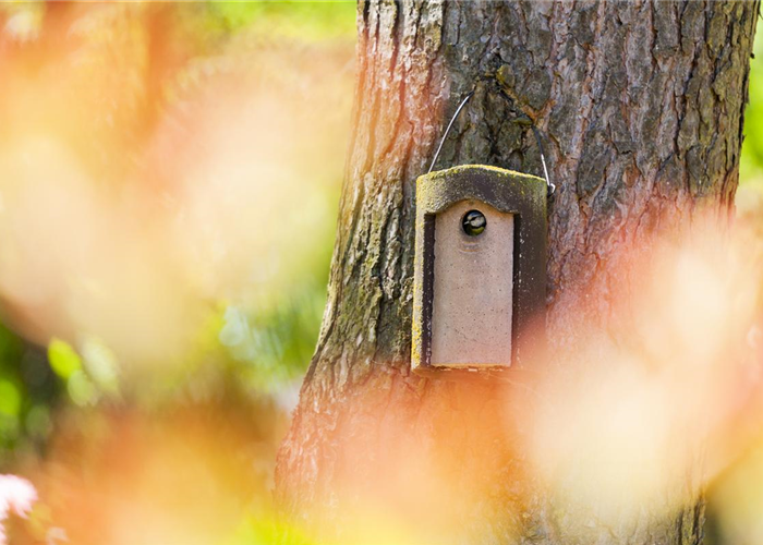 Zimmer-Service: Brutkästen winterfest machen
