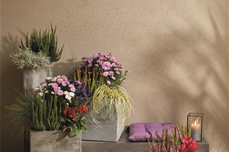 EIN KUNTERBUNTER HERBST EIN KUNTERBUNTER HERBST