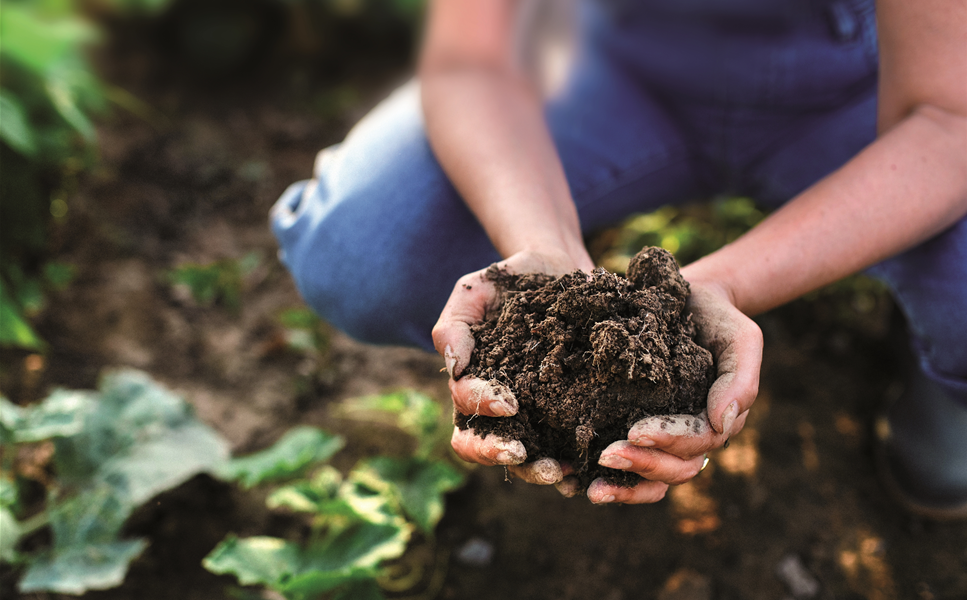 TORFREDUZIERT GÄRTNERN! - DAS KLAPPT PRIMA, SCHONT DAS KLIMA.